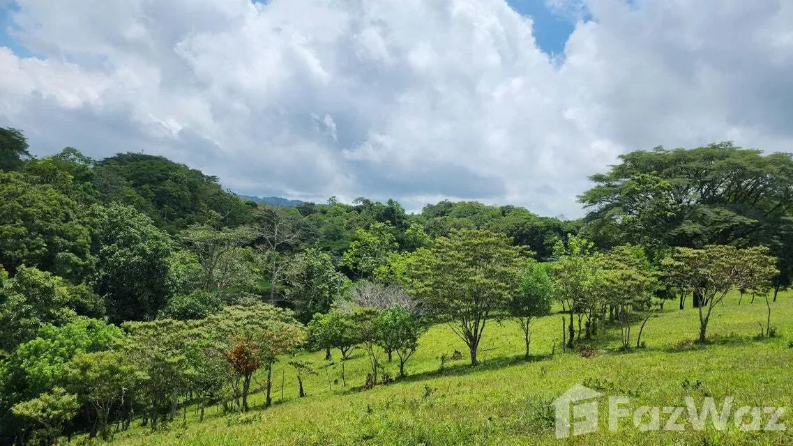 Land for Sale in Tilaran, Guanacaste for $517,492, photo 12