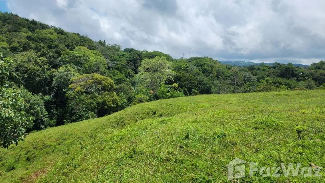 Land for Sale in Tilaran, Guanacaste for $517,492, photo 13