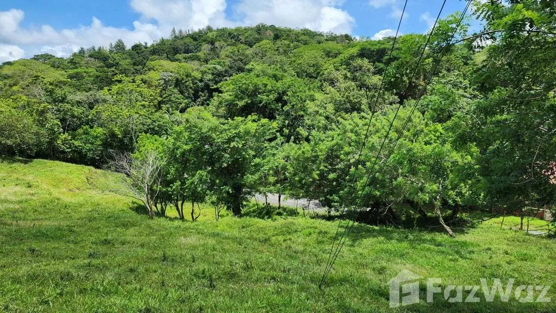 Land for Sale in Tilaran, Guanacaste for $517,492, photo 3