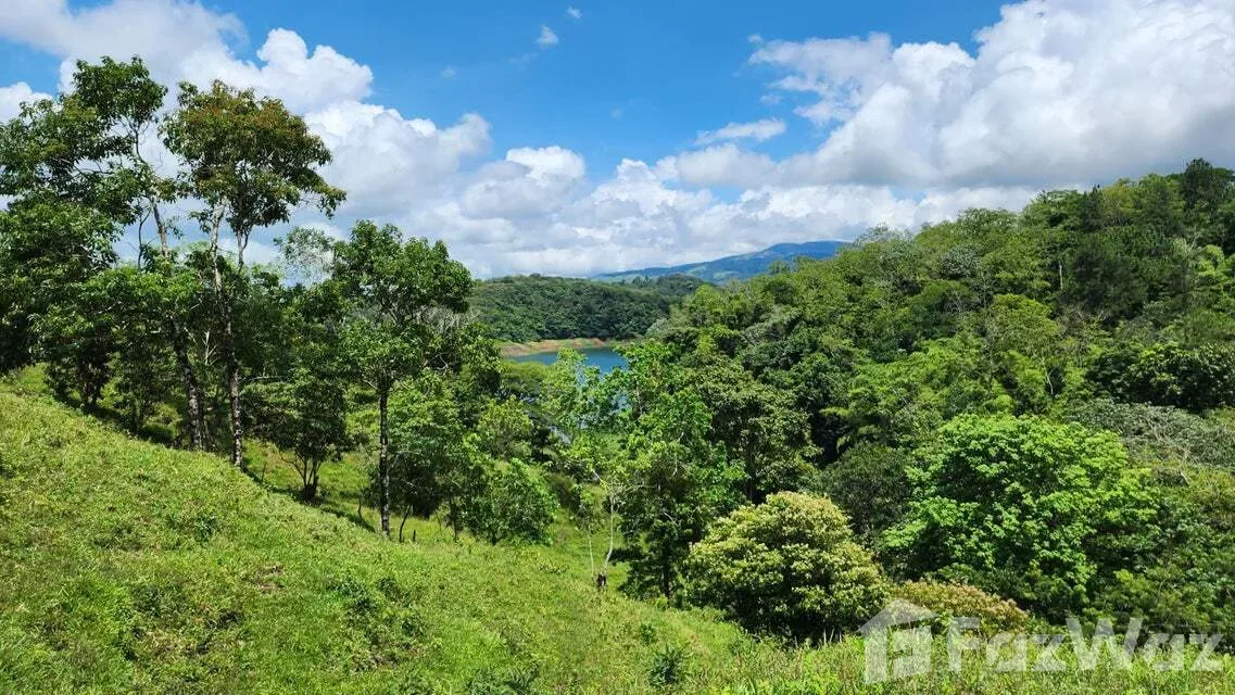 Land for Sale in Tilaran, Guanacaste for $517,492, photo 4