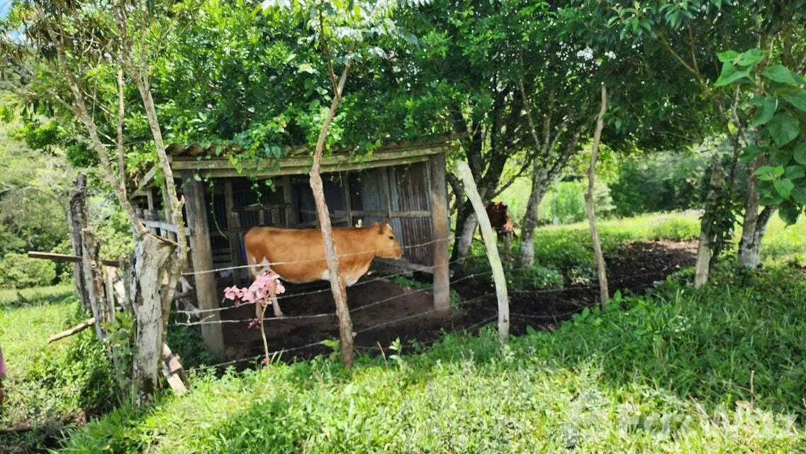 Land for Sale in Tilaran, Guanacaste for $517,492, photo 5