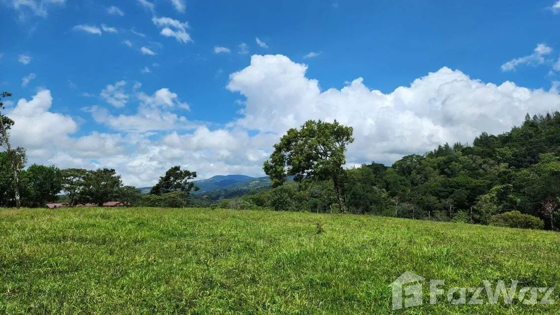 Land for Sale in Tilaran, Guanacaste for $517,492, photo 7