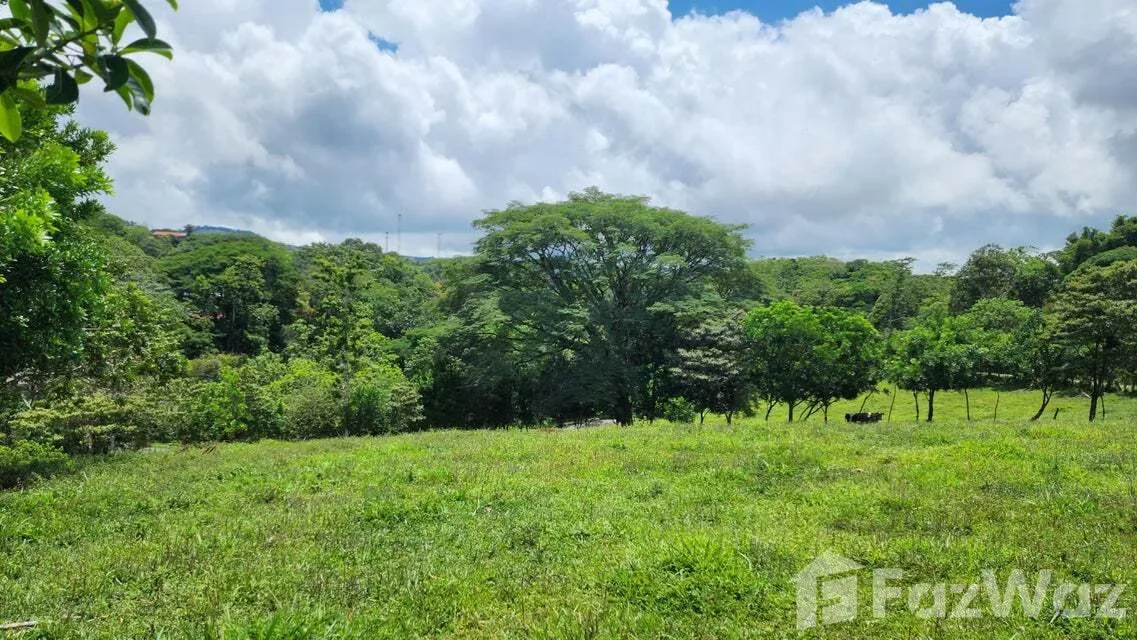 Land for Sale in Tilaran, Guanacaste for $517,492, photo 8