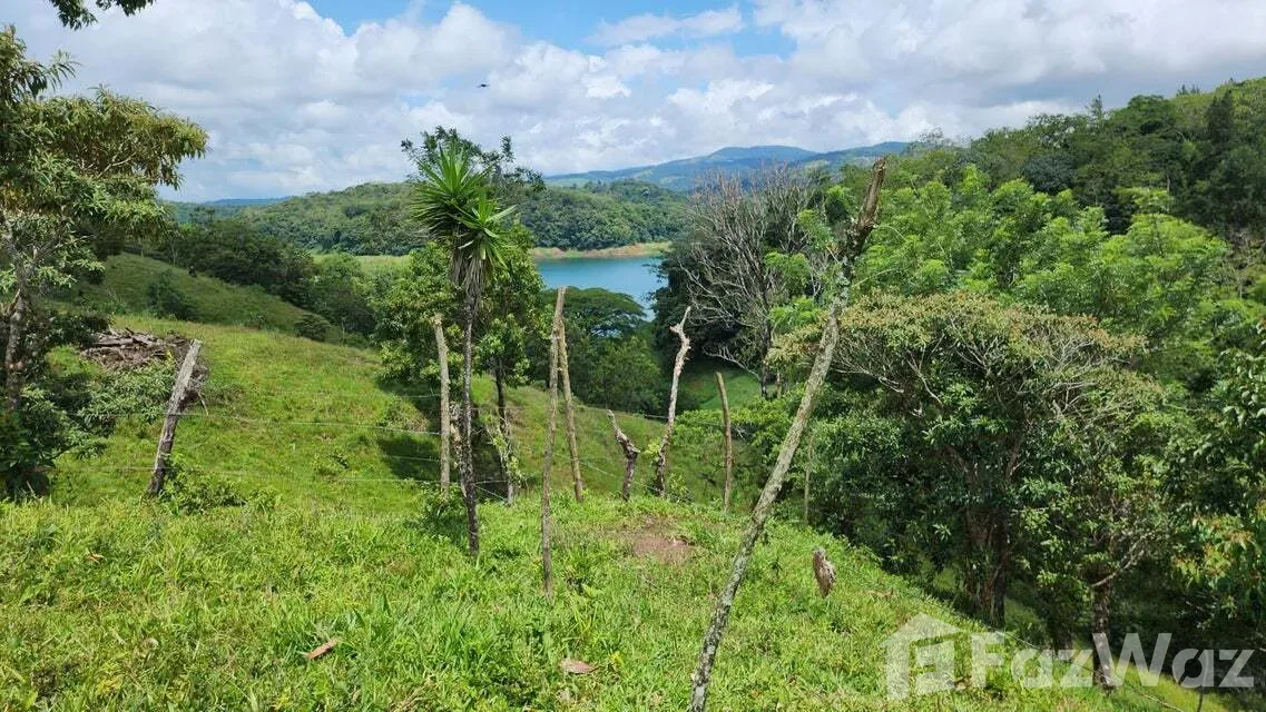 Land for Sale in Tilaran, Guanacaste for $517,492, photo 9