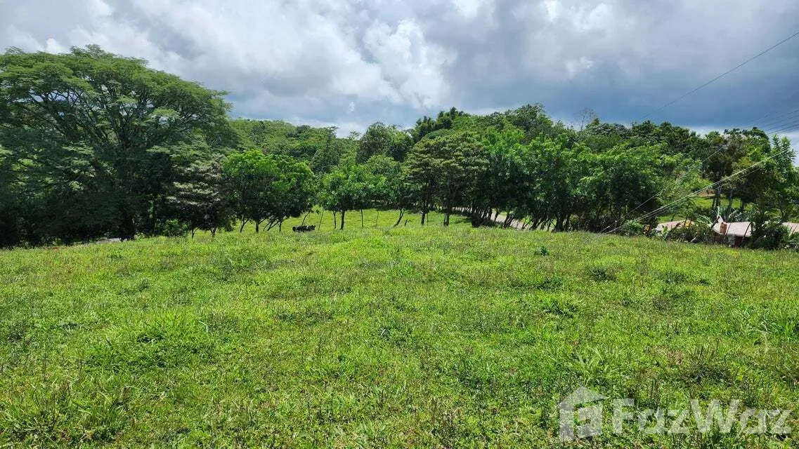 Land for Sale in Tilaran, Guanacaste for $517,492, photo 10