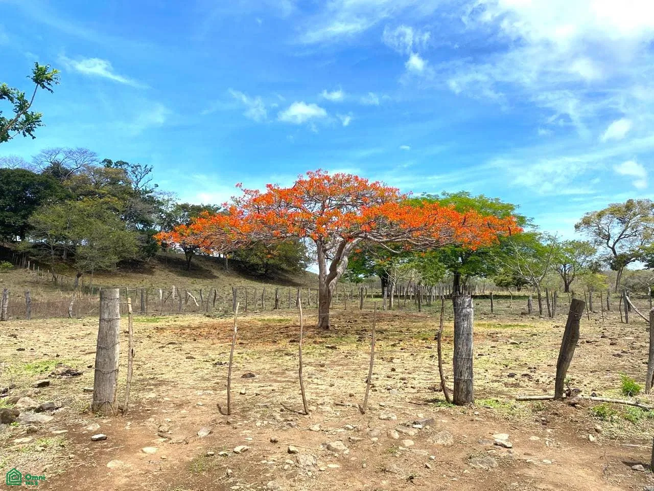 Carretera Playa Cabuyal Nacascolo Guanacaste, photo 2