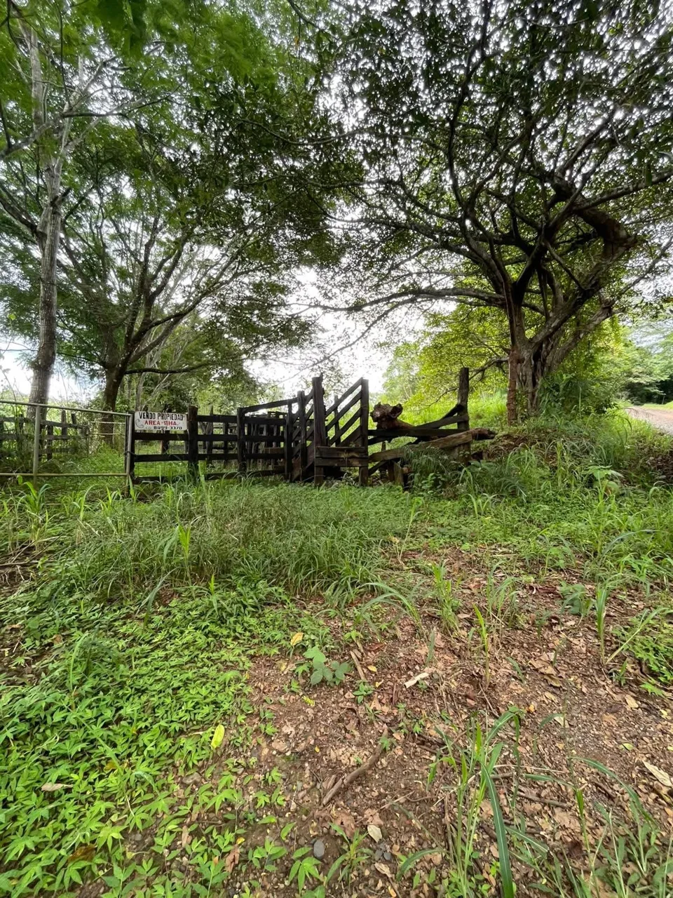 Unique Property for Sale in the Heart of Turrubares – 11 Hectares with Stunning Views 🌄, photo 9