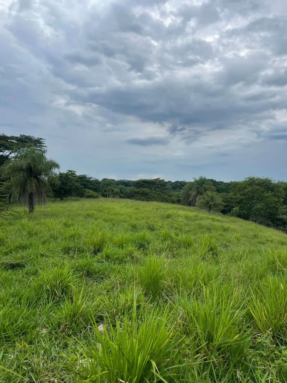 Unique Property for Sale in the Heart of Turrubares – 11 Hectares with Stunning Views 🌄, photo 10