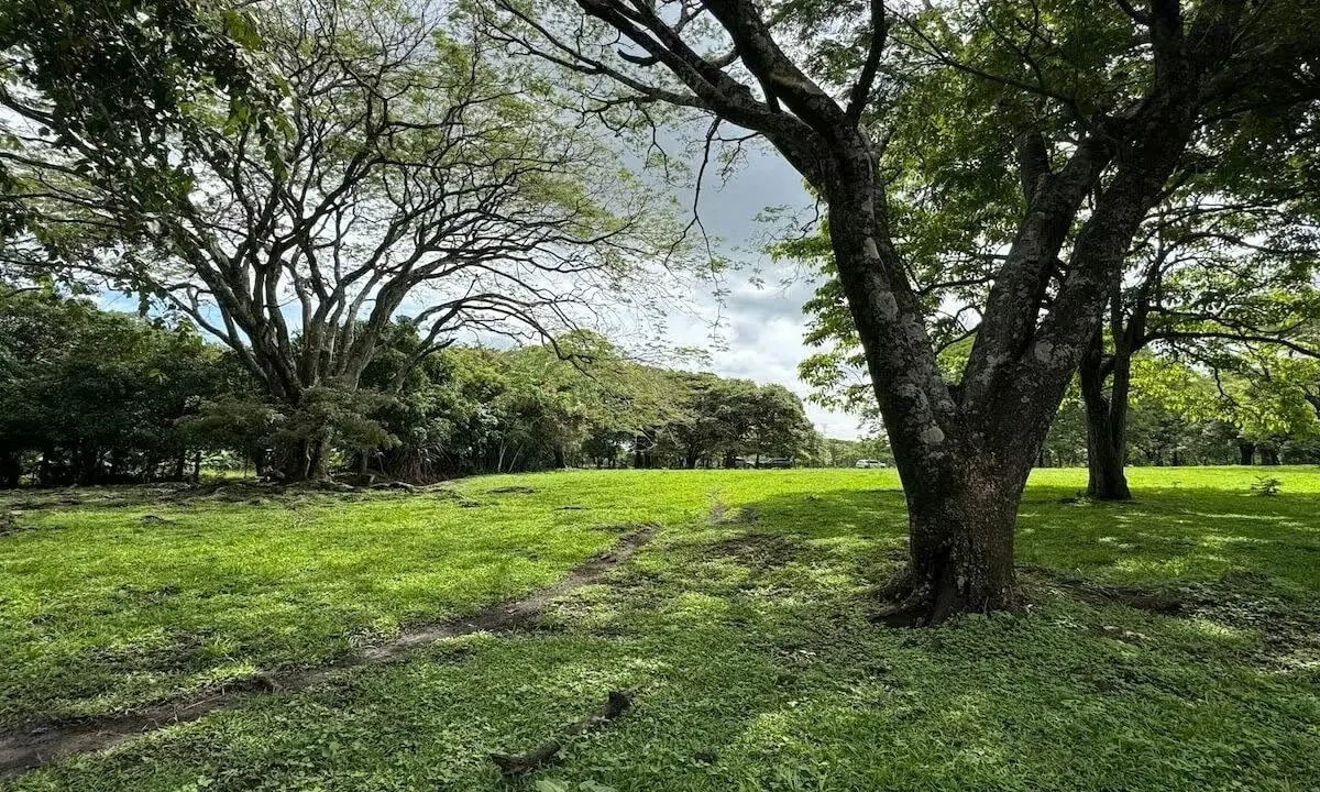 Extraordinary Lot in Closed Community, Lindora, Santa Ana.