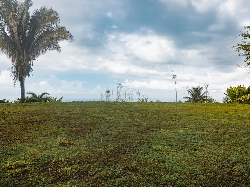 Land For Sale in Uvita, photo 4