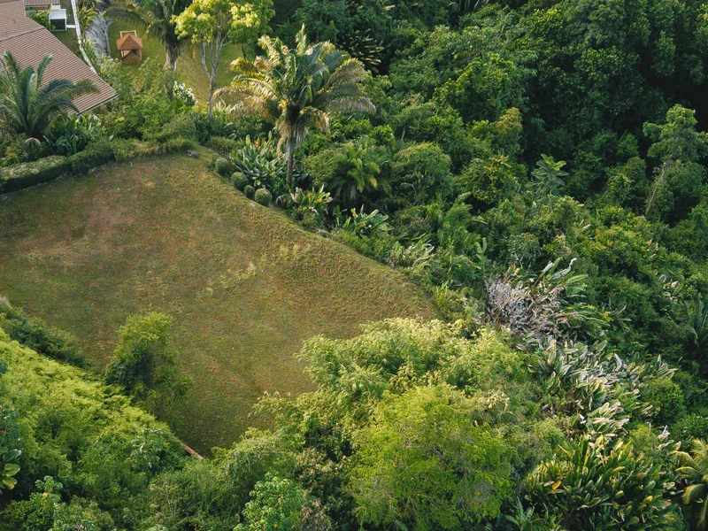 Land For Sale in Uvita, photo 6