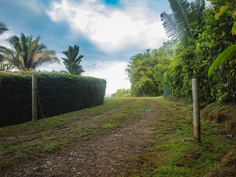 Land For Sale in Uvita, photo 10