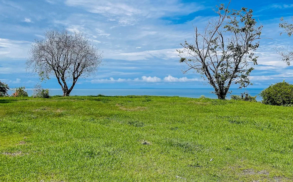 OCEAN, MOUNTAIN AND RIVER VIEWS – 3.12 ACRES, photo 6