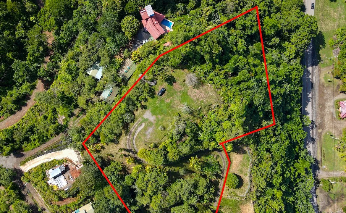 OCEAN, MOUNTAIN AND RIVER VIEWS – 3.12 ACRES, photo 8