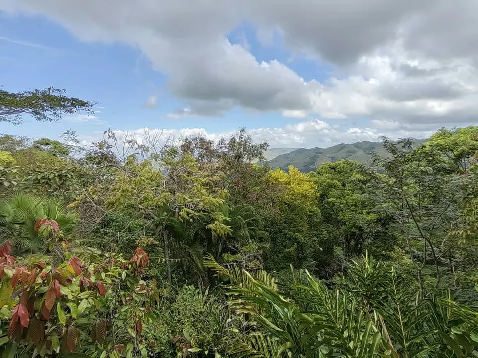 Property for sale | Veragua Nature Reserve Puriscal, San José, photo 8