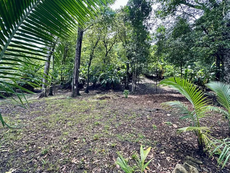 Home Construction Site in Puerto Jimenez, photo 6