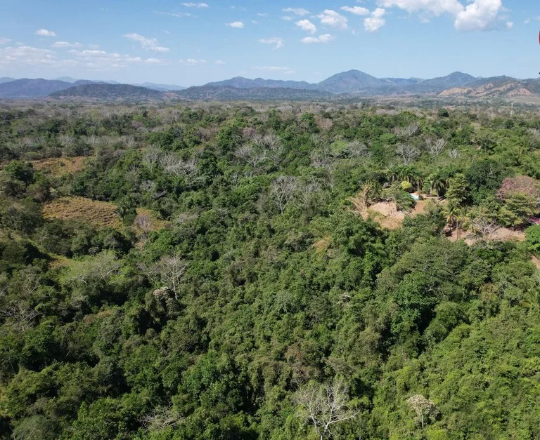 Finca Cobano. Santa Teresa: Near the Coast Agricultural Land For Sale in Santa Teresa