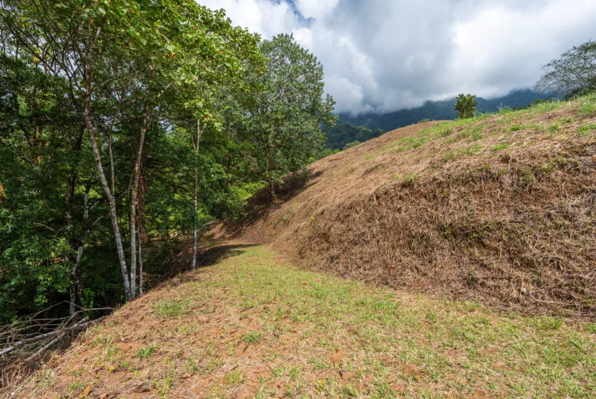 BUILDING PROPERTY WITH PARTIAL OCEAN VIEWS, IN OJOCHAL – 3.12 ACRES, photo 12
