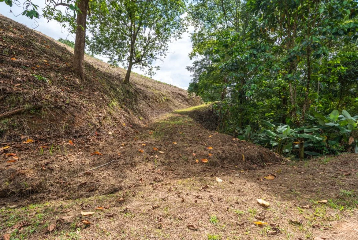 BUILDING PROPERTY WITH PARTIAL OCEAN VIEWS, IN OJOCHAL – 3.12 ACRES, photo 14
