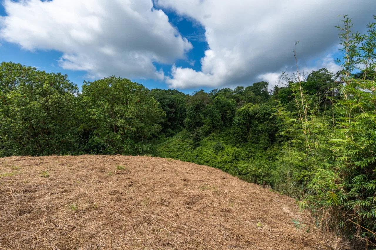 BUILDING PROPERTY WITH PARTIAL OCEAN VIEWS, IN OJOCHAL – 3.12 ACRES, photo 15