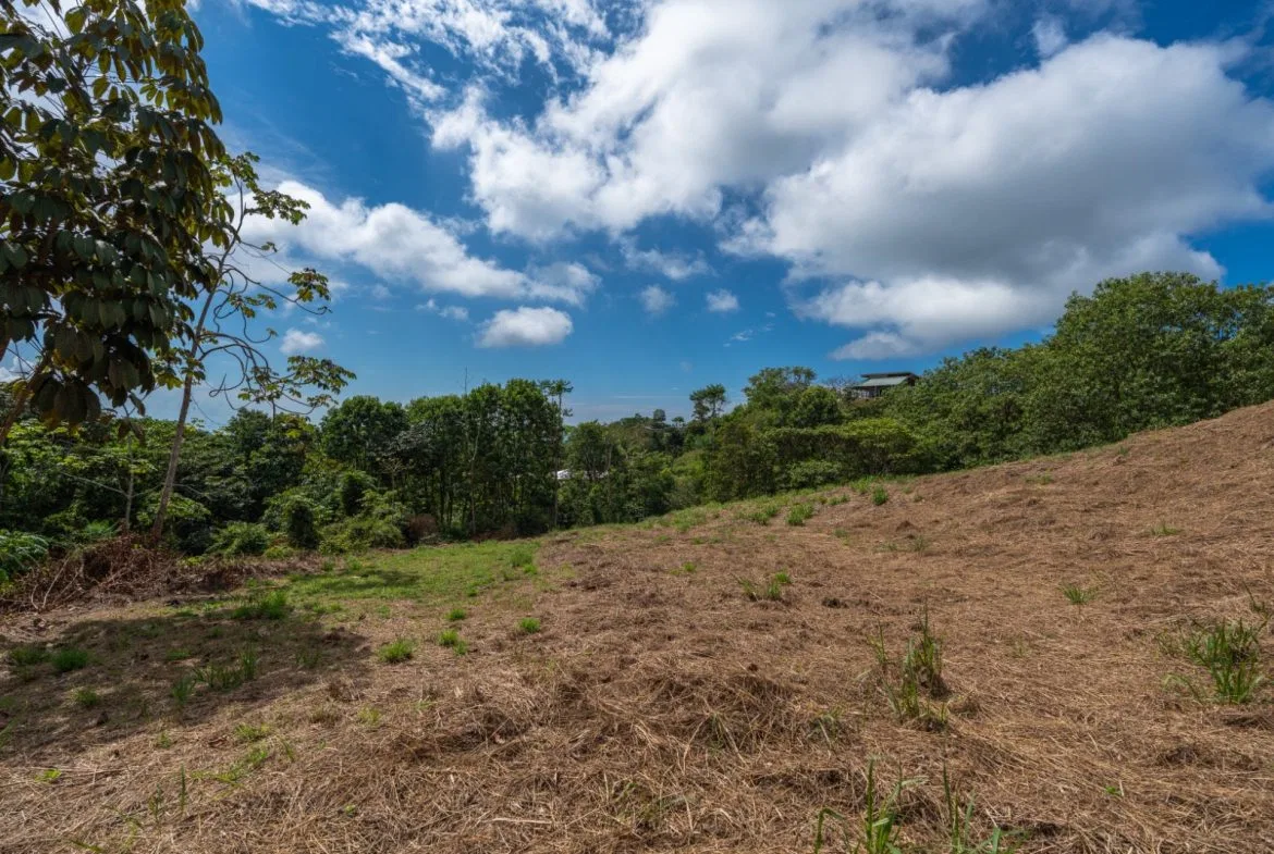 BUILDING PROPERTY WITH PARTIAL OCEAN VIEWS, IN OJOCHAL – 3.12 ACRES, photo 18