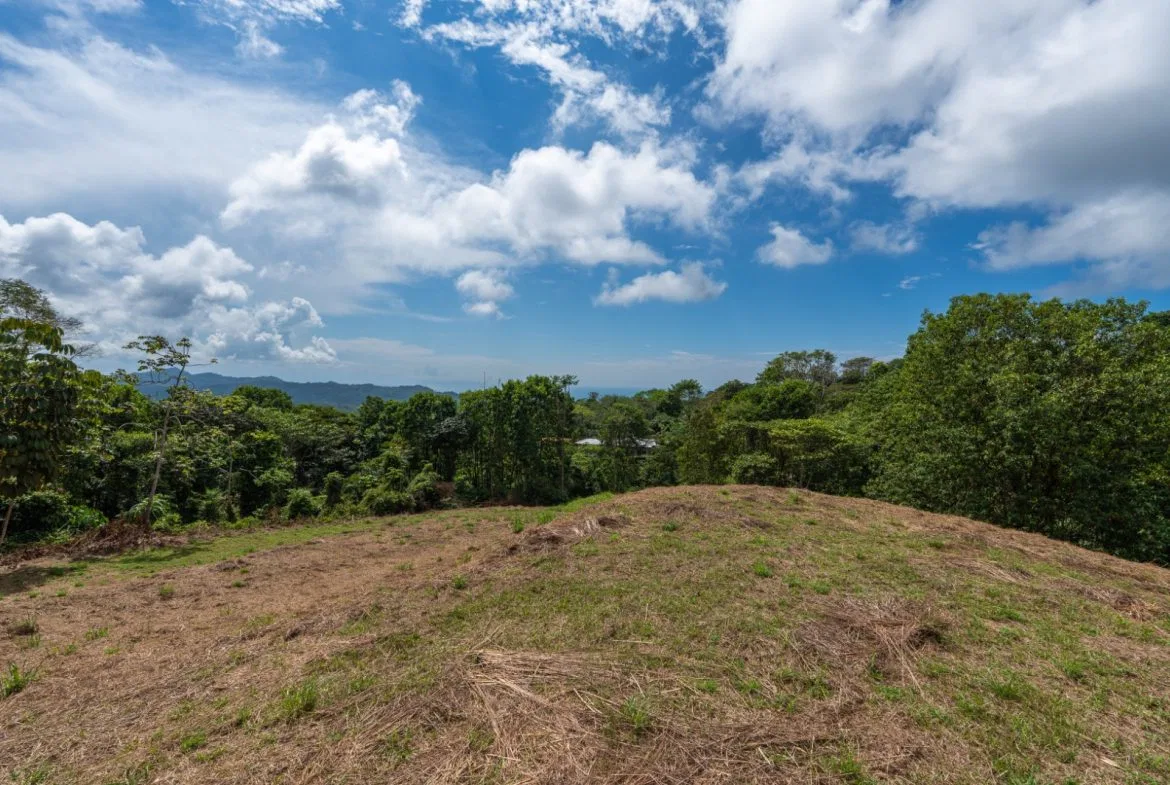 BUILDING PROPERTY WITH PARTIAL OCEAN VIEWS, IN OJOCHAL – 3.12 ACRES, photo 20