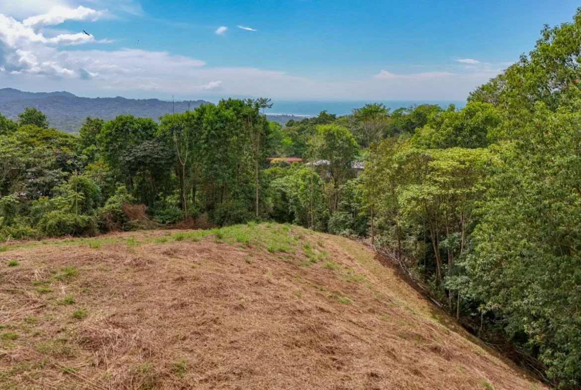 BUILDING PROPERTY WITH PARTIAL OCEAN VIEWS, IN OJOCHAL – 3.12 ACRES, photo 22