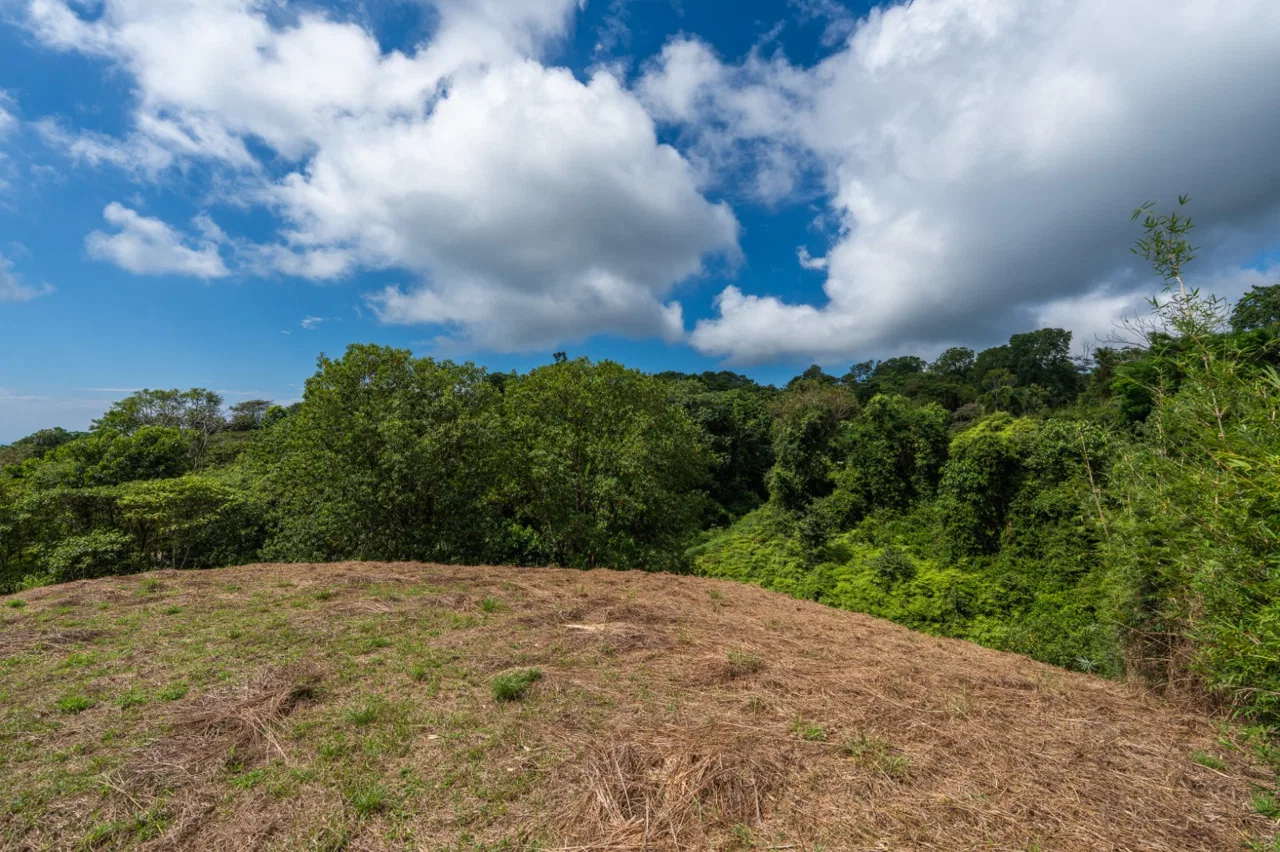 BUILDING PROPERTY WITH PARTIAL OCEAN VIEWS, IN OJOCHAL – 3.12 ACRES, photo 23