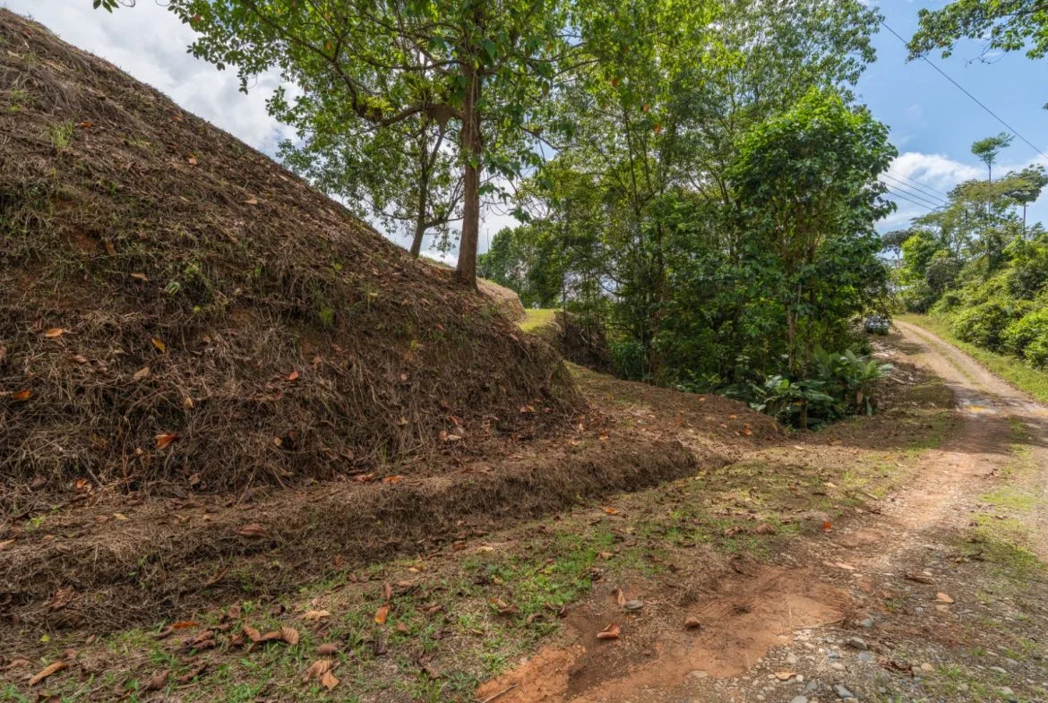 BUILDING PROPERTY WITH PARTIAL OCEAN VIEWS, IN OJOCHAL – 3.12 ACRES, photo 10