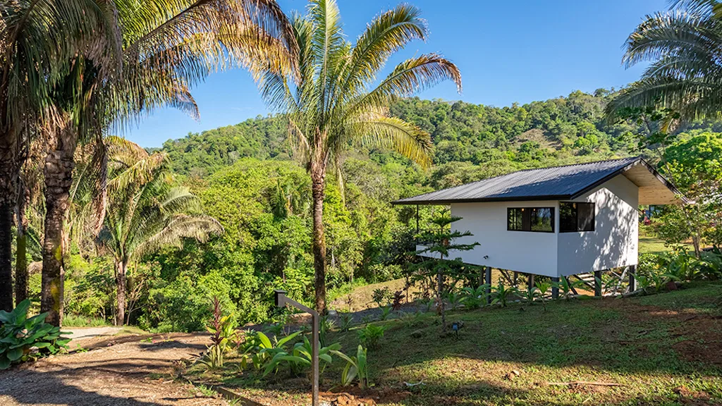 HOUSE AND GUEST HOUSE WITH BEAUTIFUL OCEAN VIEWS, photo 15
