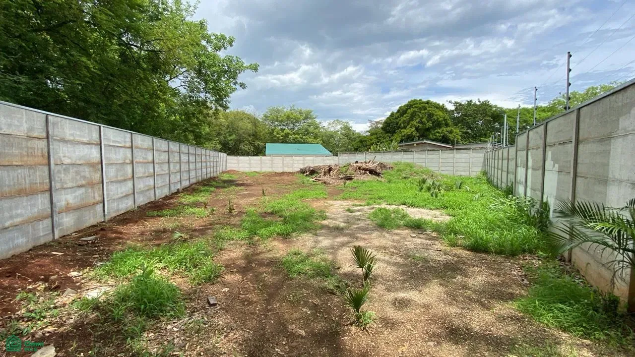 La amistad, Cabo Velas, Guanacaste 50308