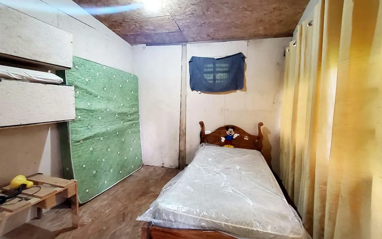 Live surrounded by primary forest and a mountain climate on a 10,670 m² farm with a rustic cabin (2 ..., photo 3