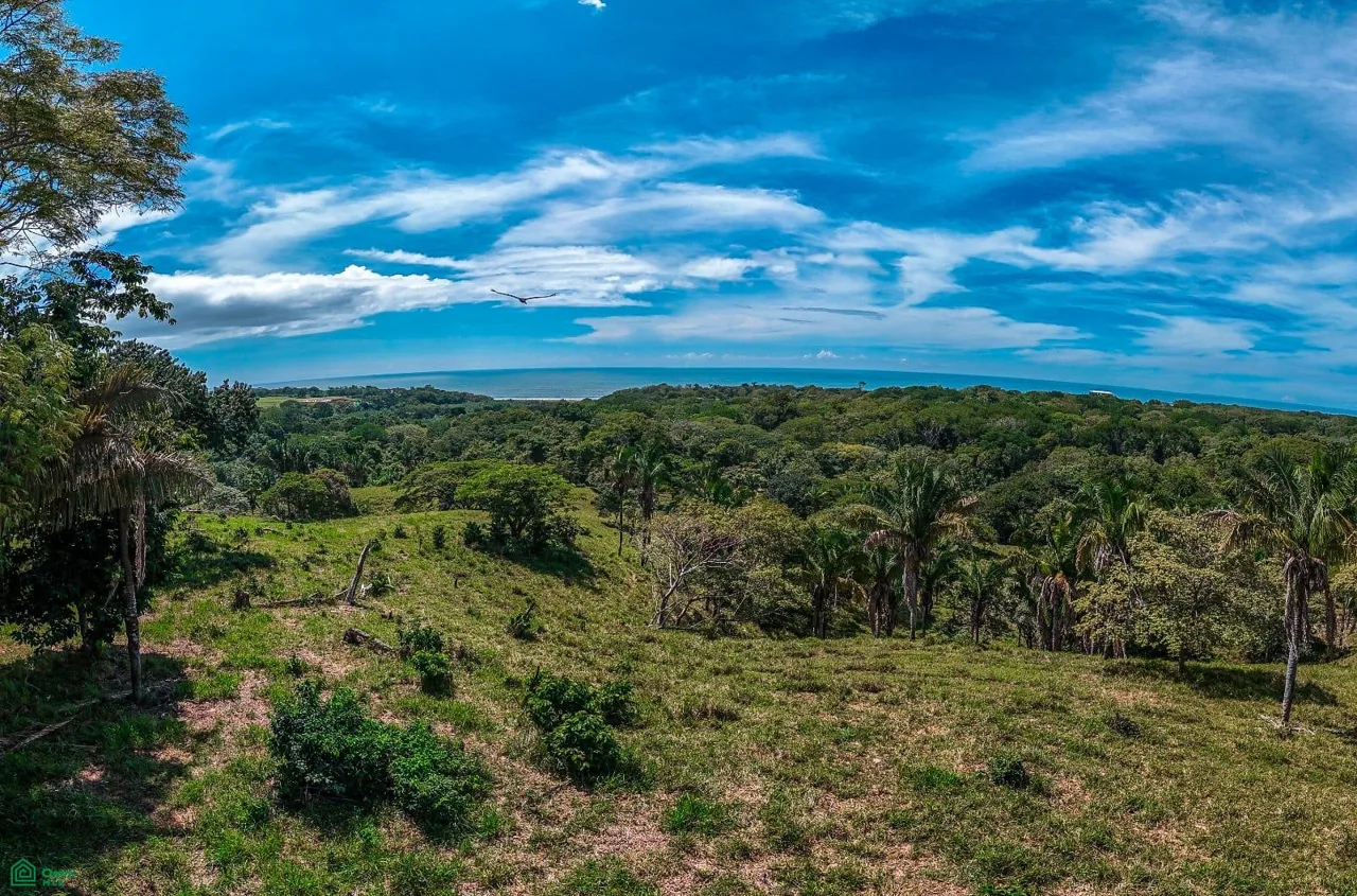 Finca San Juanillo - Propiedad de Desarrollo con Vista al Mar de 36 Acres Cerca de Nosara