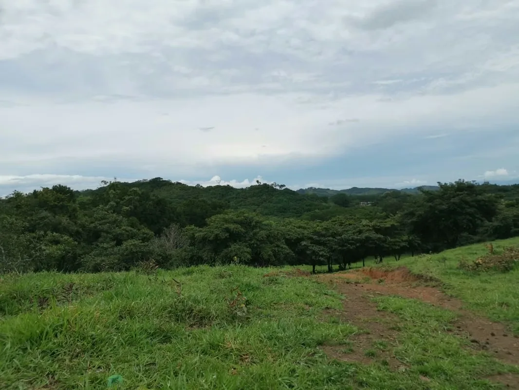 Venta de Finca en Esparza a solo 5 minutos del Centro.