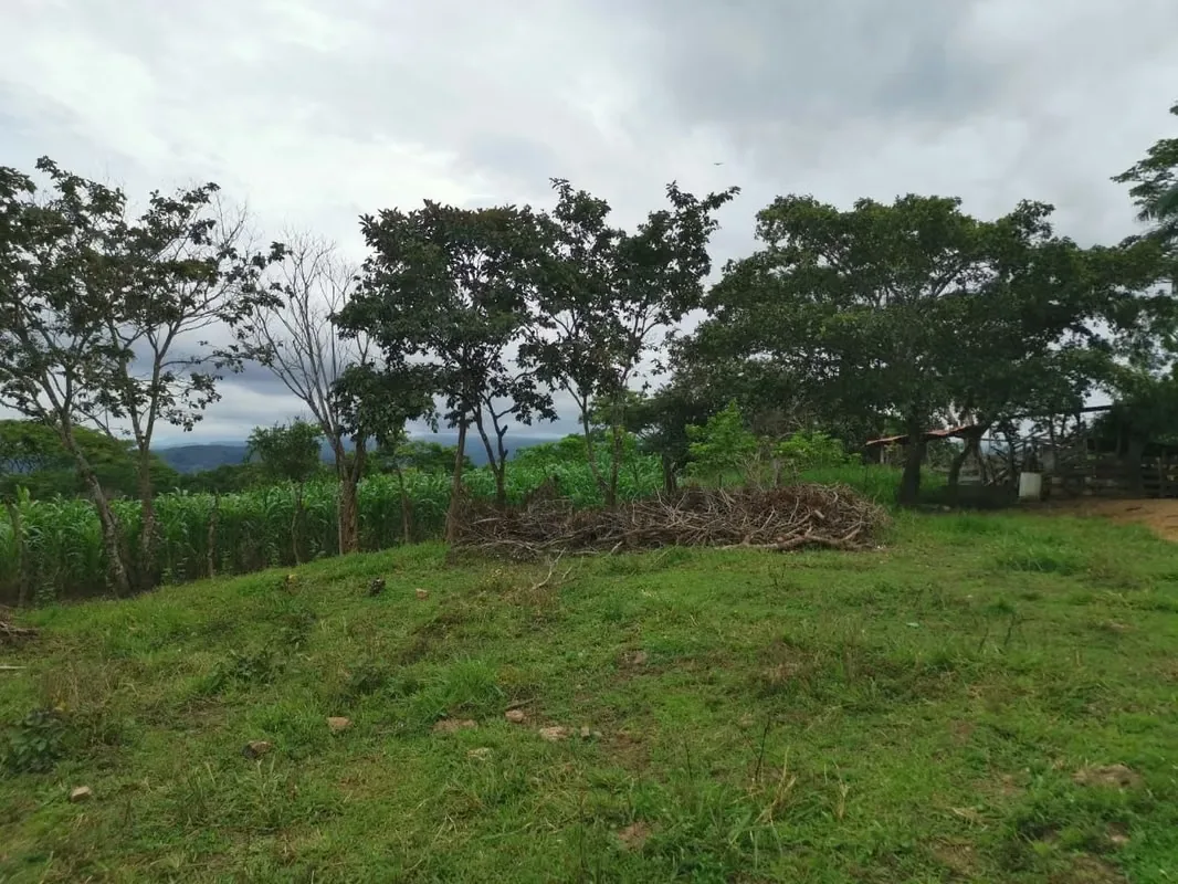 Venta de Finca en Esparza a solo 5 minutos del Centro., photo 6