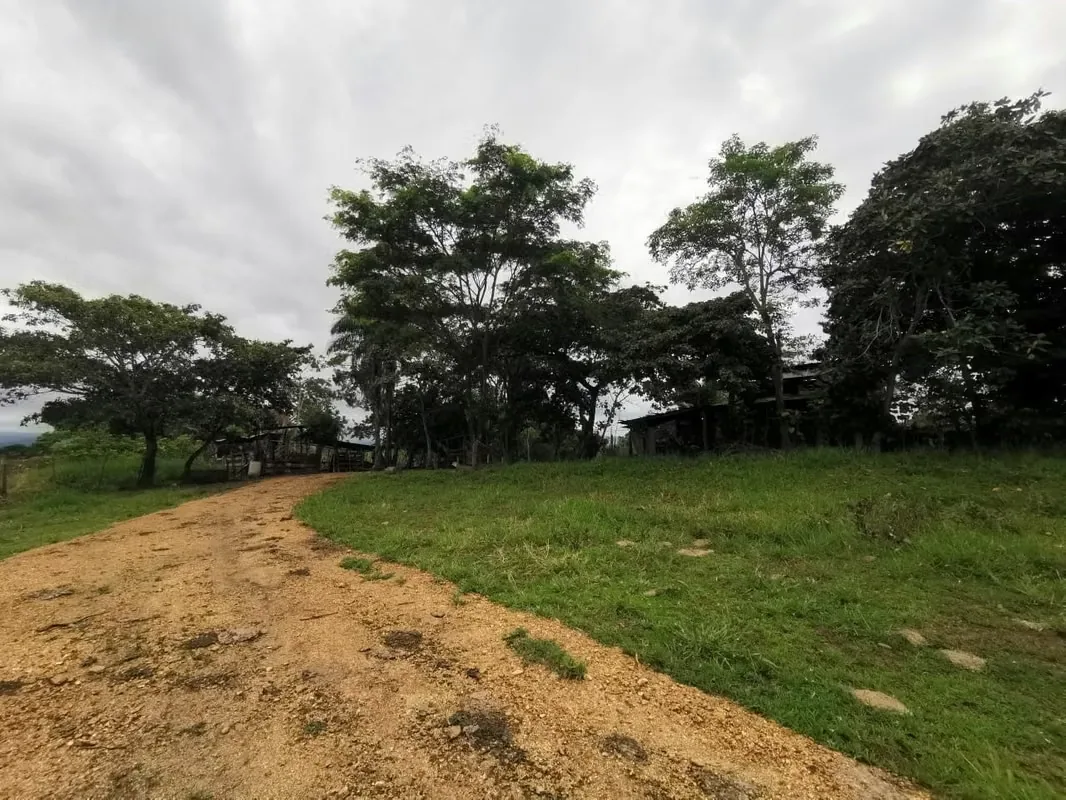 Venta de Finca en Esparza a solo 5 minutos del Centro., photo 7