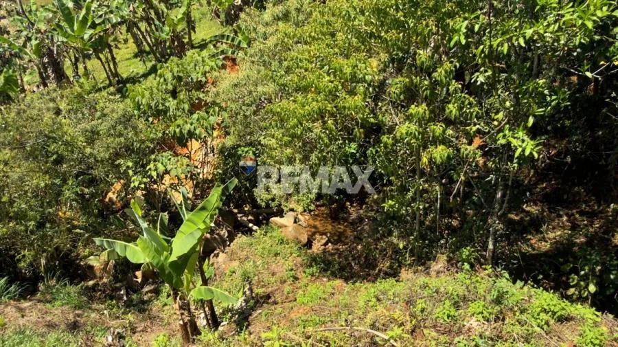 LOTE EN VENTA EN MIRAVALLES, PÉREZ ZELEDÓN – 1,066 m² CON VISTA Y QUEBRADA - Venta en Perez Zeledón, photo 6
