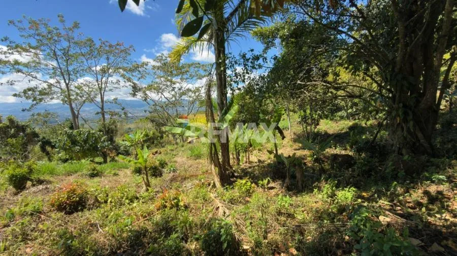 LOTE EN VENTA EN MIRAVALLES, PÉREZ ZELEDÓN – 1,066 m² CON VISTA Y QUEBRADA - Venta en Perez Zeledón, photo 7
