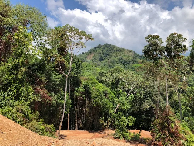 OCEAN VIEW PARCEL WITH LEGAL WATER AND READY TO BUILD – 4.21 ACRES, photo 11