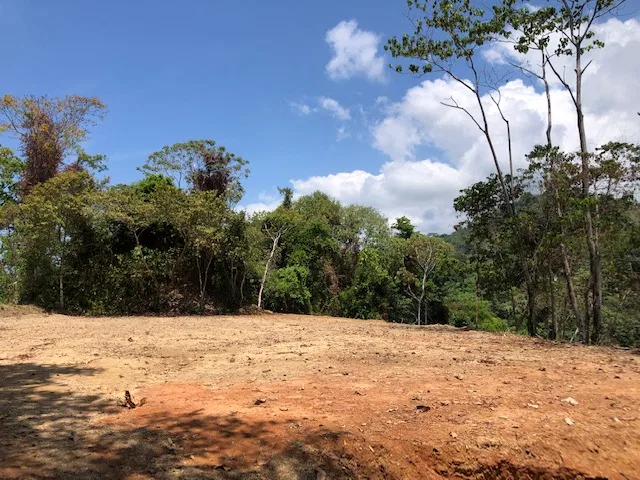 OCEAN VIEW PARCEL WITH LEGAL WATER AND READY TO BUILD – 4.21 ACRES, photo 6