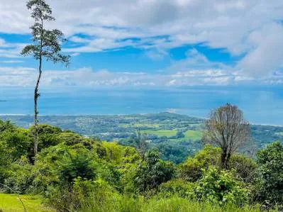 Propiedad con vista a la cola de ballena en venta: el complejo familiar definitivo, photo 2