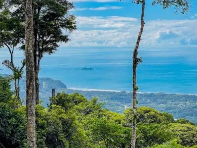 Propiedad con vista a la cola de ballena en venta: el complejo familiar definitivo, photo 6
