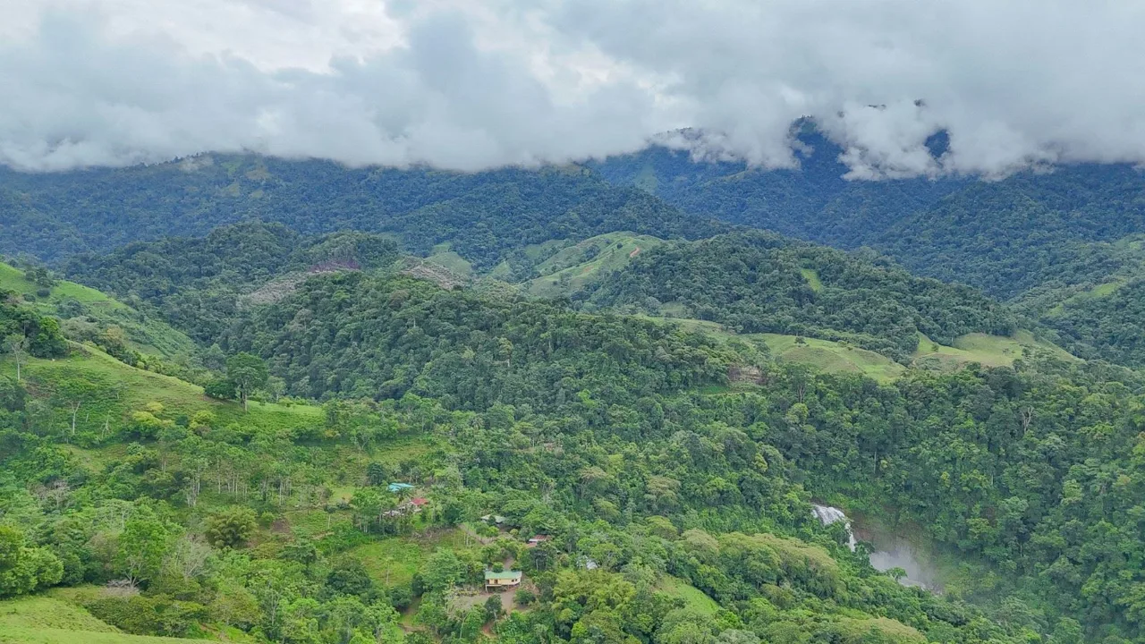 Breathtaking 210 Foot Waterfall on Over 200 Acres of Land in the Lush Hills &amp; Mountains – with SO MANY Additional Development Options!, photo 13