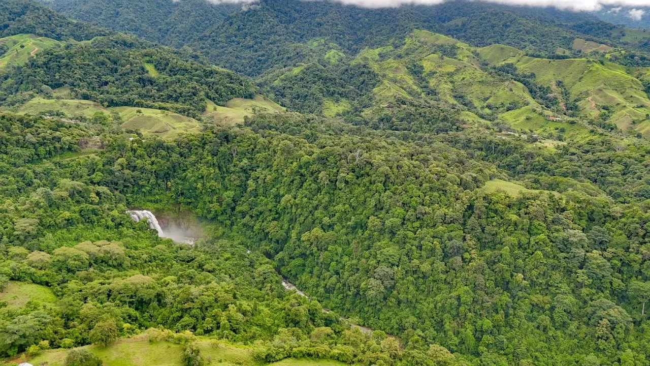 Breathtaking 210 Foot Waterfall on Over 200 Acres of Land in the Lush Hills &amp; Mountains – with SO MANY Additional Development Options!, photo 6