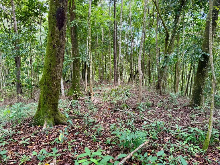1.65 ACRES – Amazing Sunset Ocean View Property With Huge Building Area, Great Access, Perfect For a Hotel Or Estate!!!, photo 4