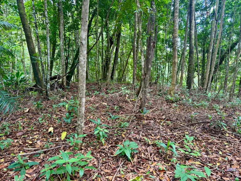 1.65 ACRES – Amazing Sunset Ocean View Property With Huge Building Area, Great Access, Perfect For a Hotel Or Estate!!!, photo 5