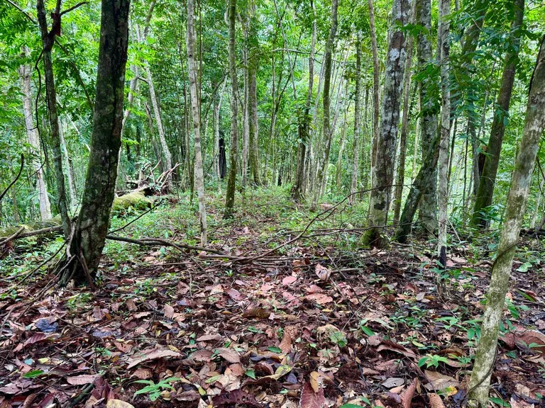 1.65 ACRES – Amazing Sunset Ocean View Property With Huge Building Area, Great Access, Perfect For a Hotel Or Estate!!!, photo 7