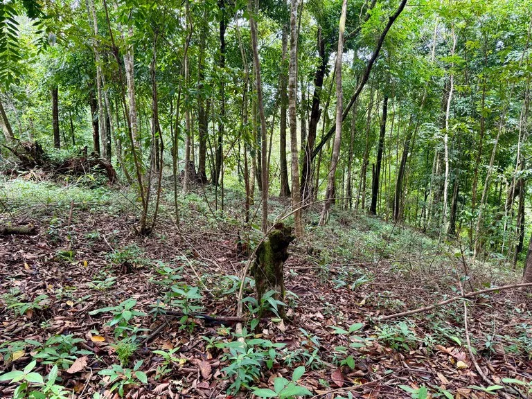 1.65 ACRES – Amazing Sunset Ocean View Property With Huge Building Area, Great Access, Perfect For a Hotel Or Estate!!!, photo 8