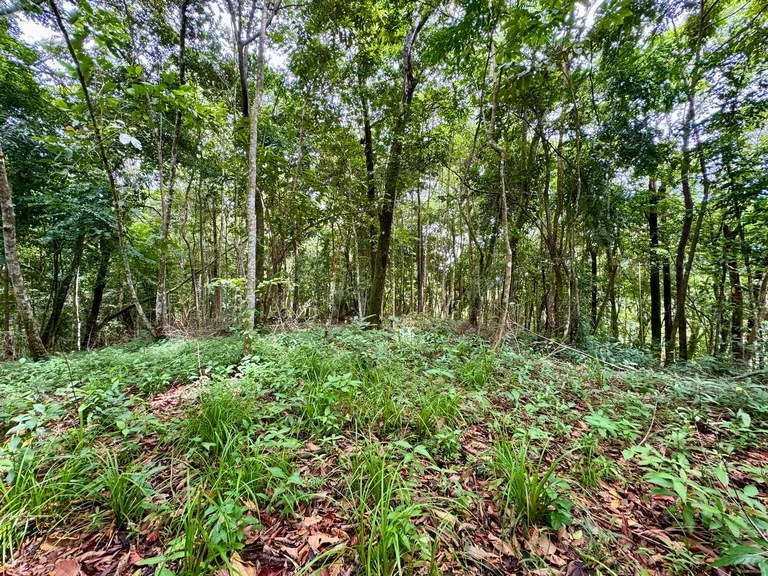 1.65 ACRES – Amazing Sunset Ocean View Property With Huge Building Area, Great Access, Perfect For a Hotel Or Estate!!!, photo 9