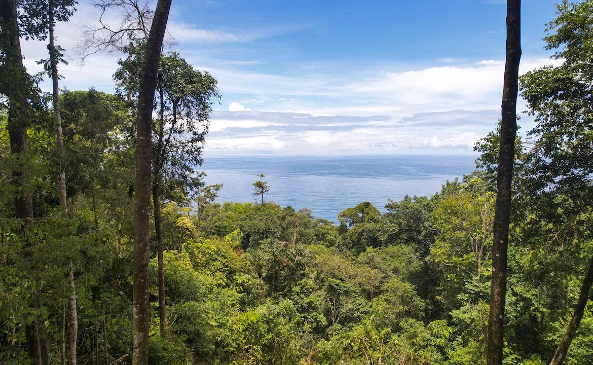 DEVELOPMENT POTENCIAL LAND WITH OCEAN VIEWS – 17.59 ACRES, photo 2